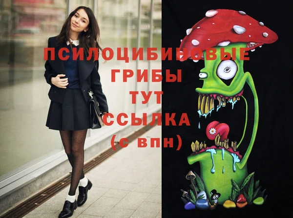 PSILOCYBIN Горнозаводск