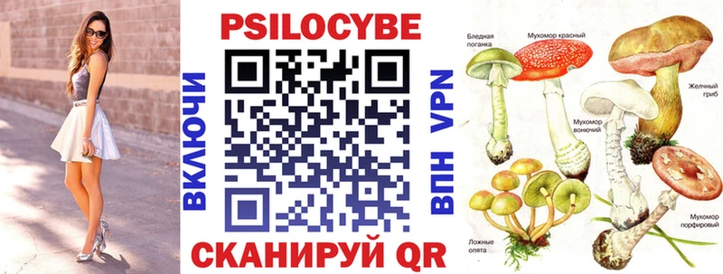 Купить закладки  Подпорожье  Псилоцибиновые грибы ЛСД 
